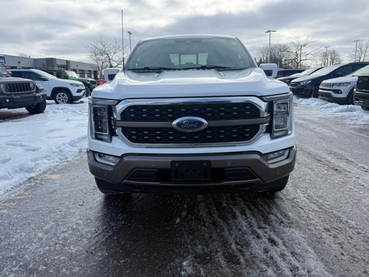 2022 Ford F-150  Photo