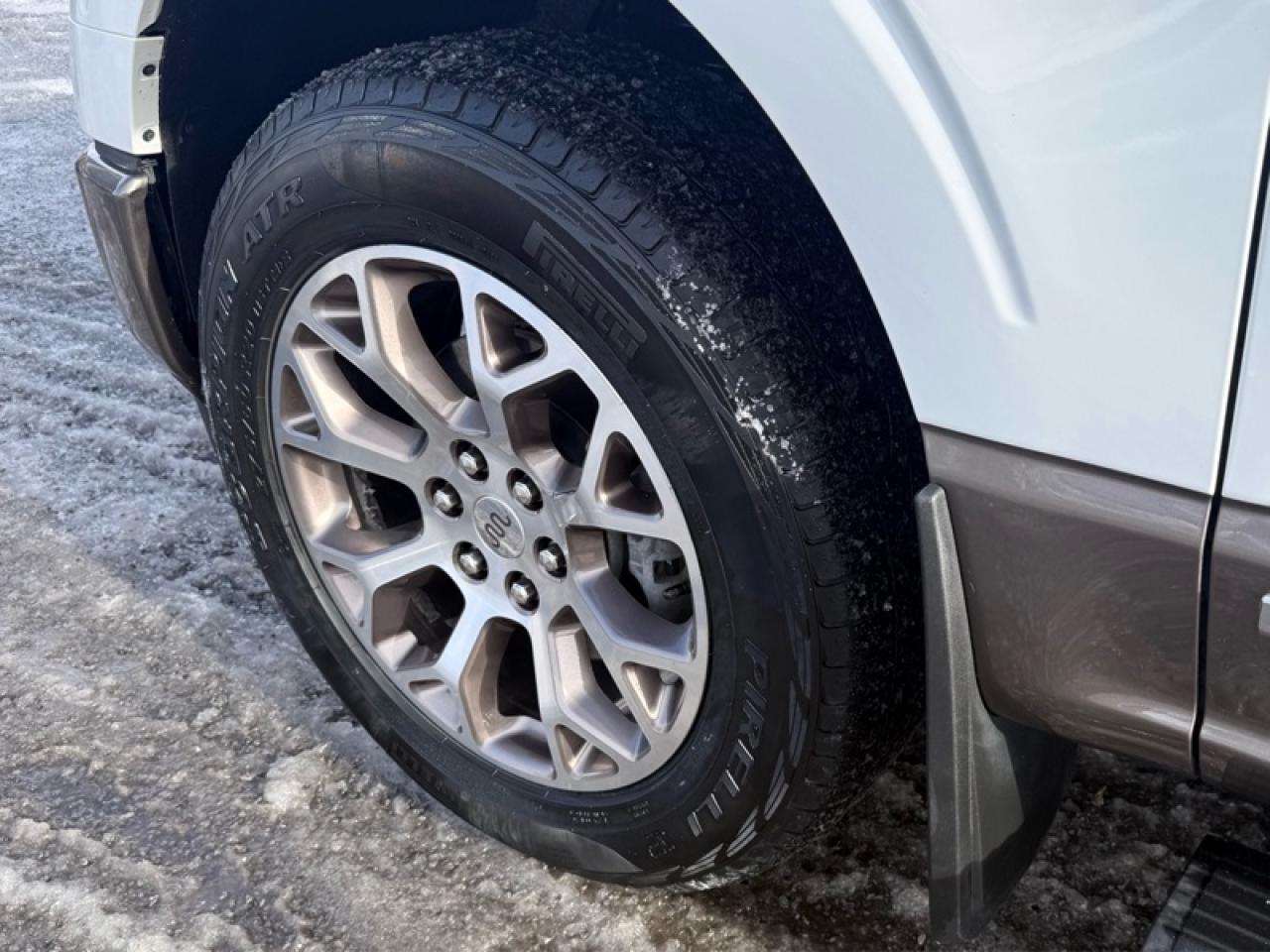 2022 Ford F-150  Photo