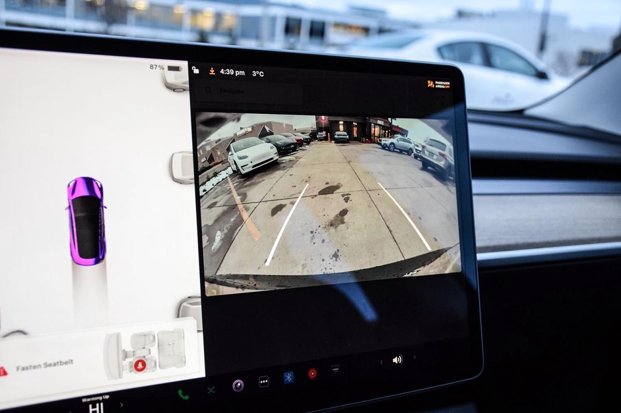 2022 Tesla Model 3 SRP RWD NO ACCIDENTS AUTOPILOT Photo