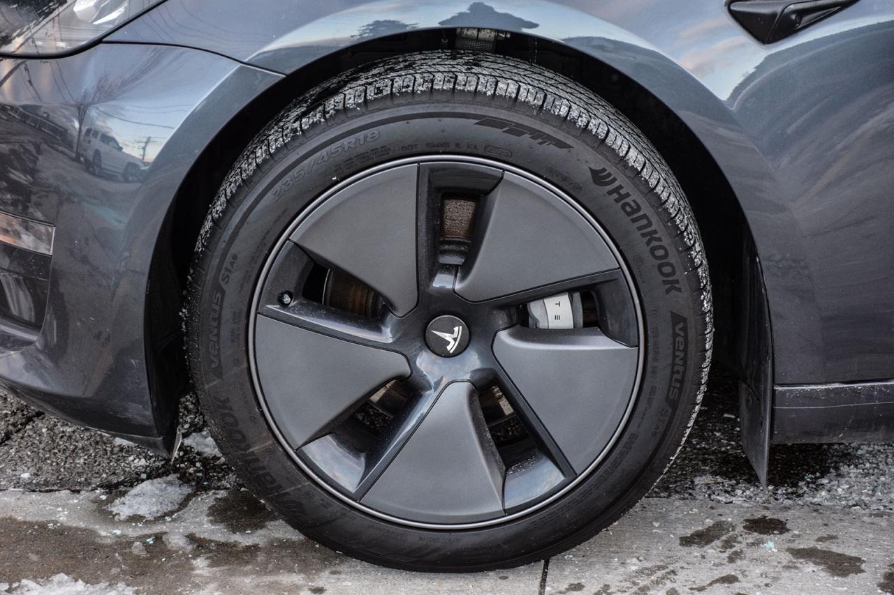 2023 Tesla Model 3 SRP RWD NO ACCIDENT AUTOPILOT BSM Photo