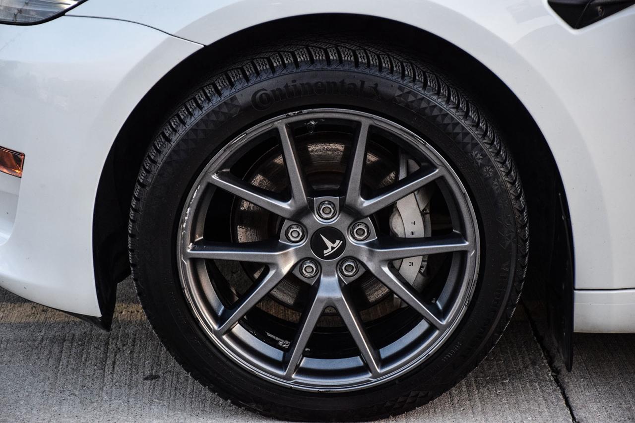 2023 Tesla Model 3 SRP RWD NO ACCIDENT AUTOPILOT BSM Photo