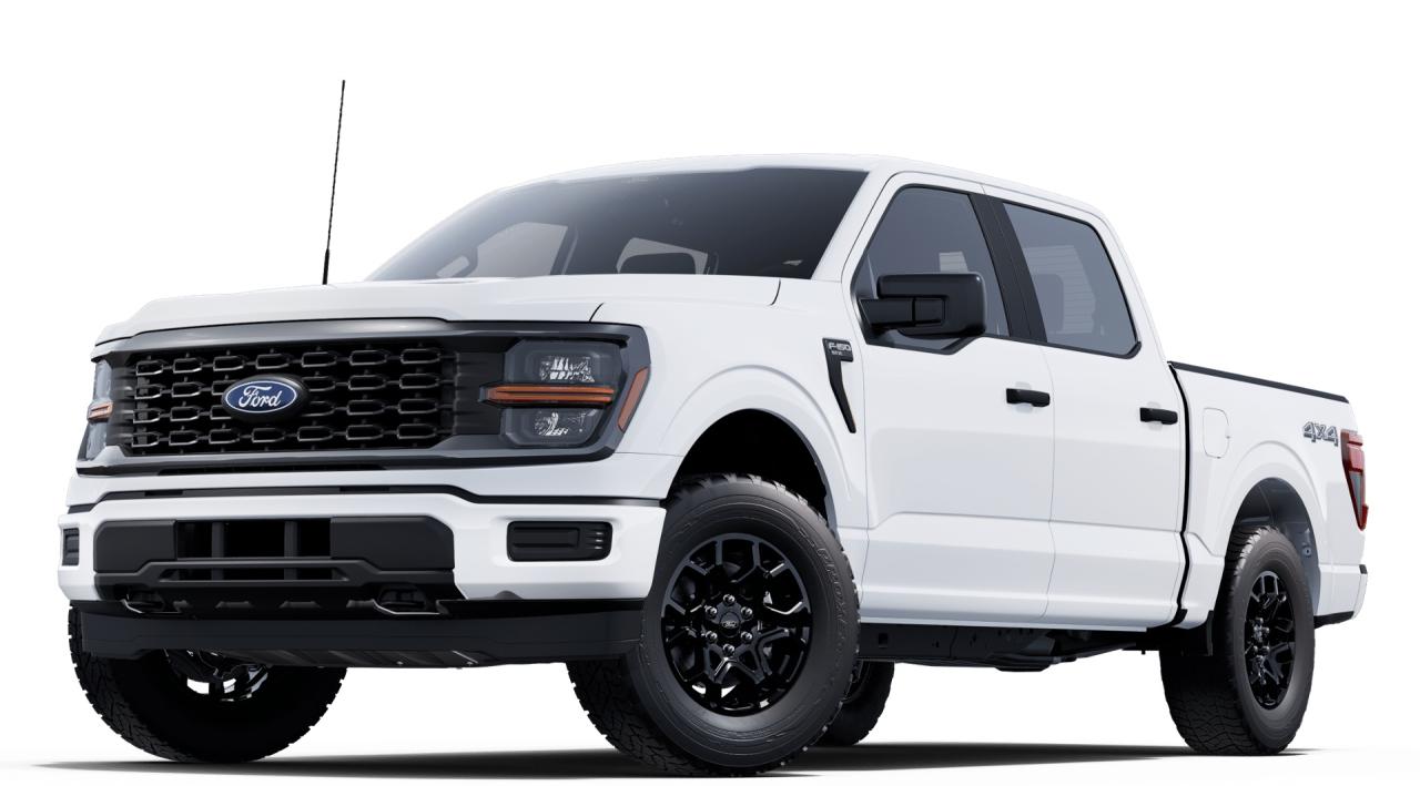 2025 Ford F-150 STX 4WD SuperCrew 5.5' Box Photo0