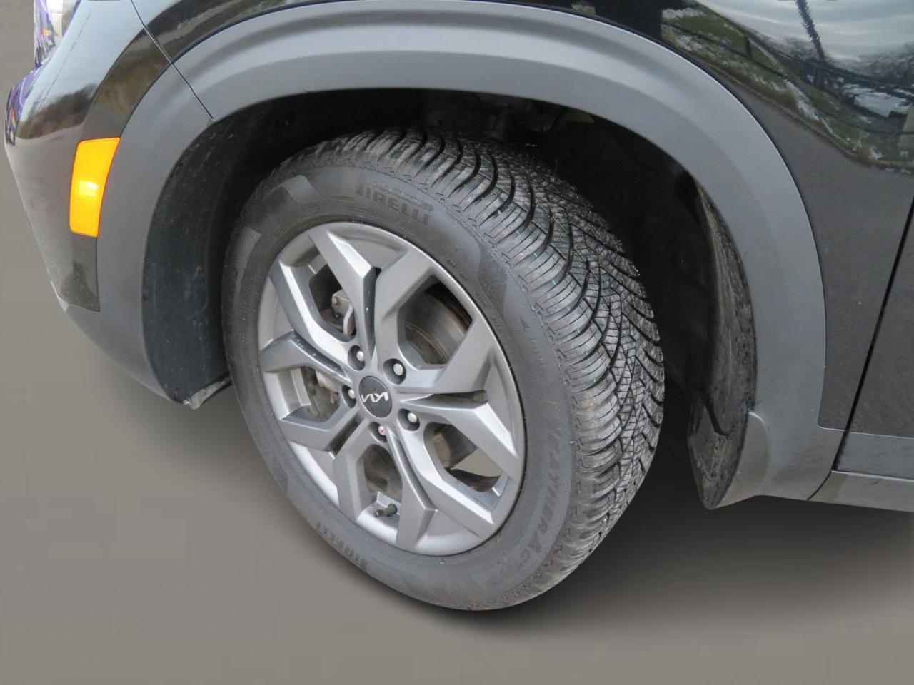 2024 Kia Seltos LX FWD Photo