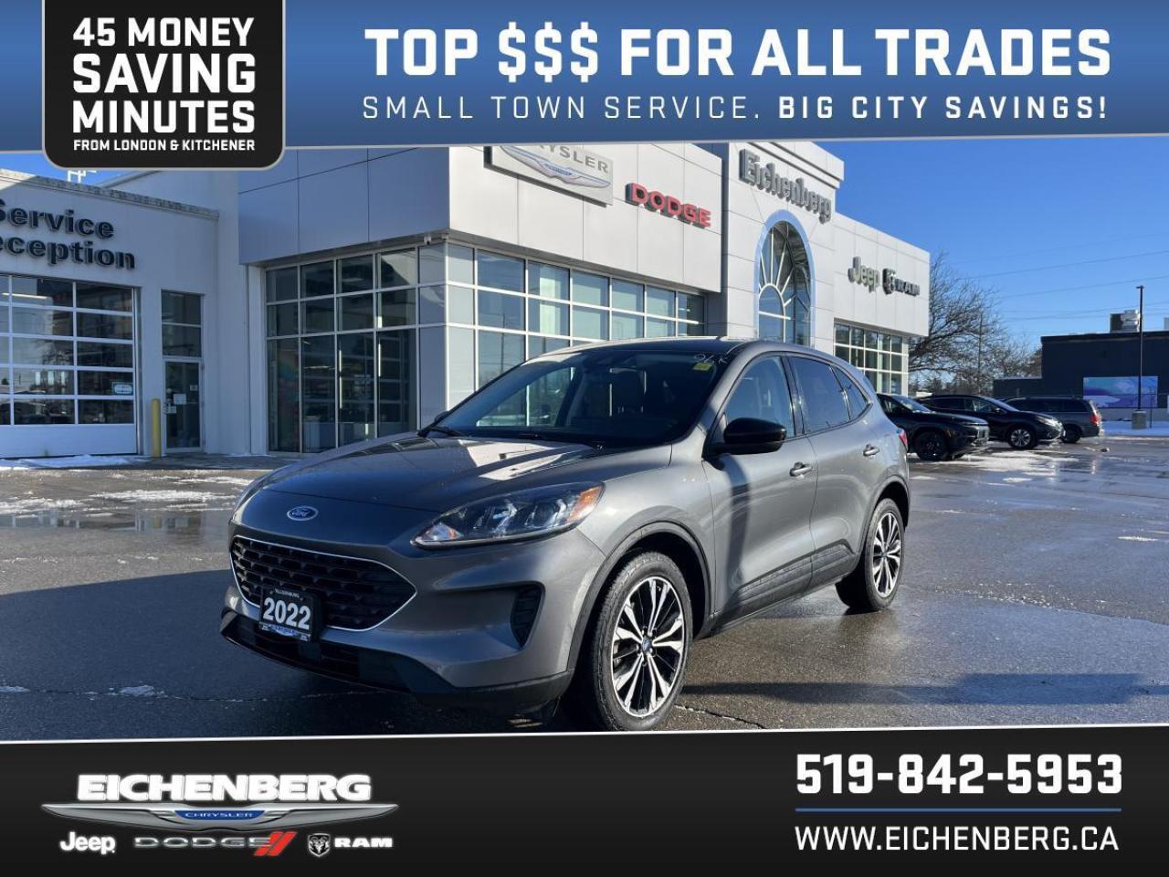 2022 Ford Escape SE AWD Photo