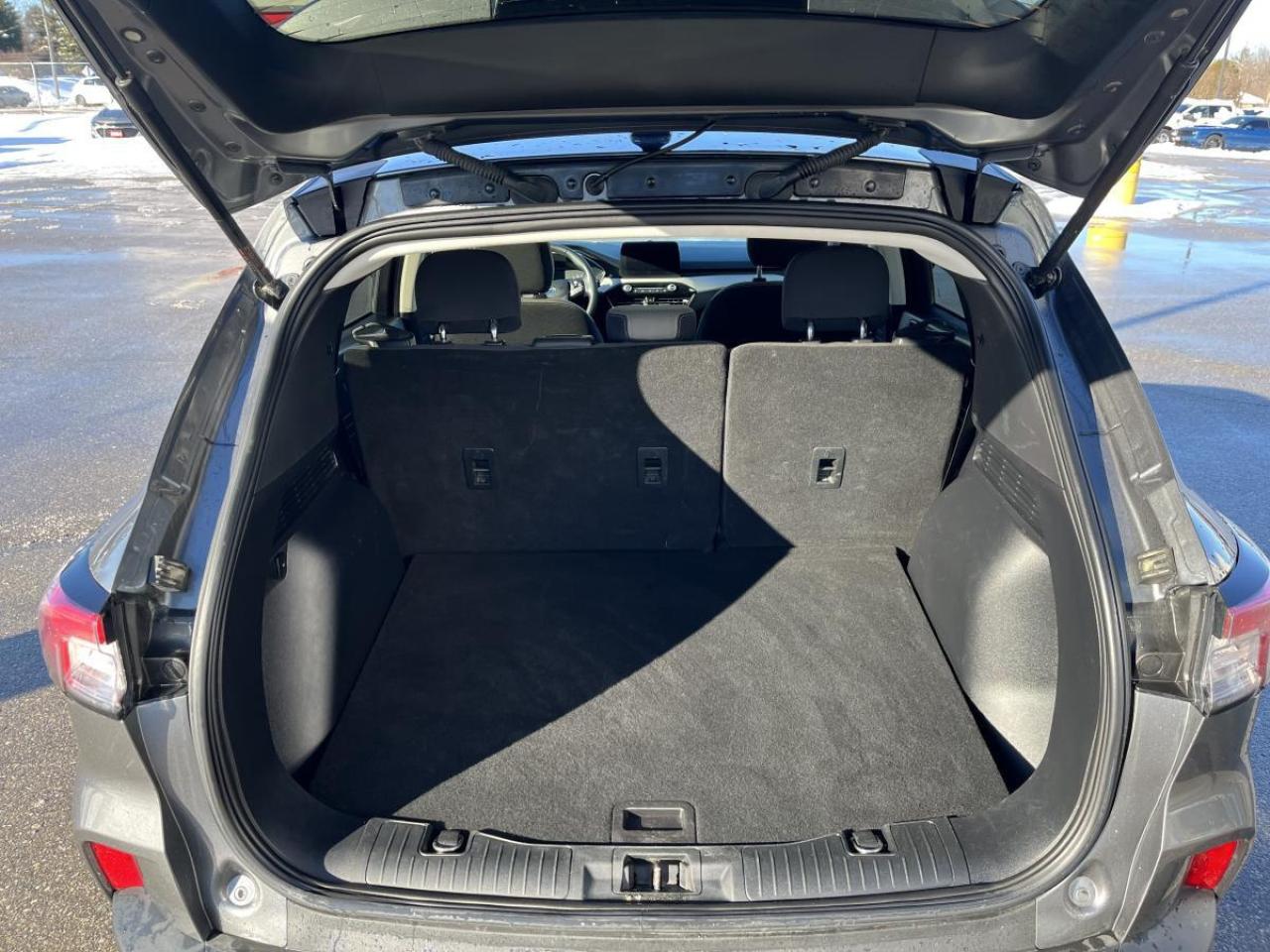 2022 Ford Escape SE Photo