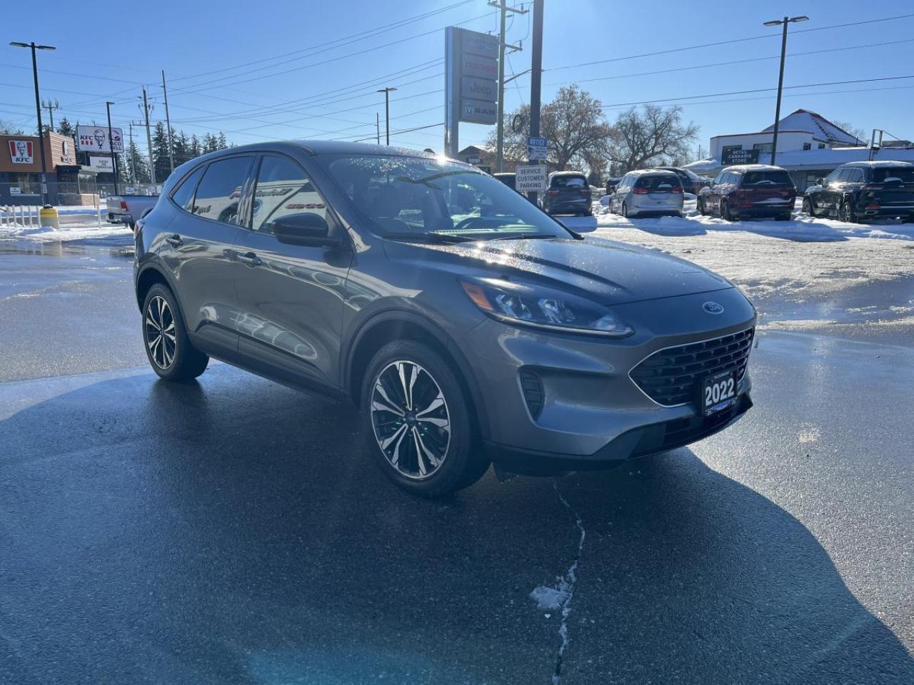 2022 Ford Escape SE AWD Photo