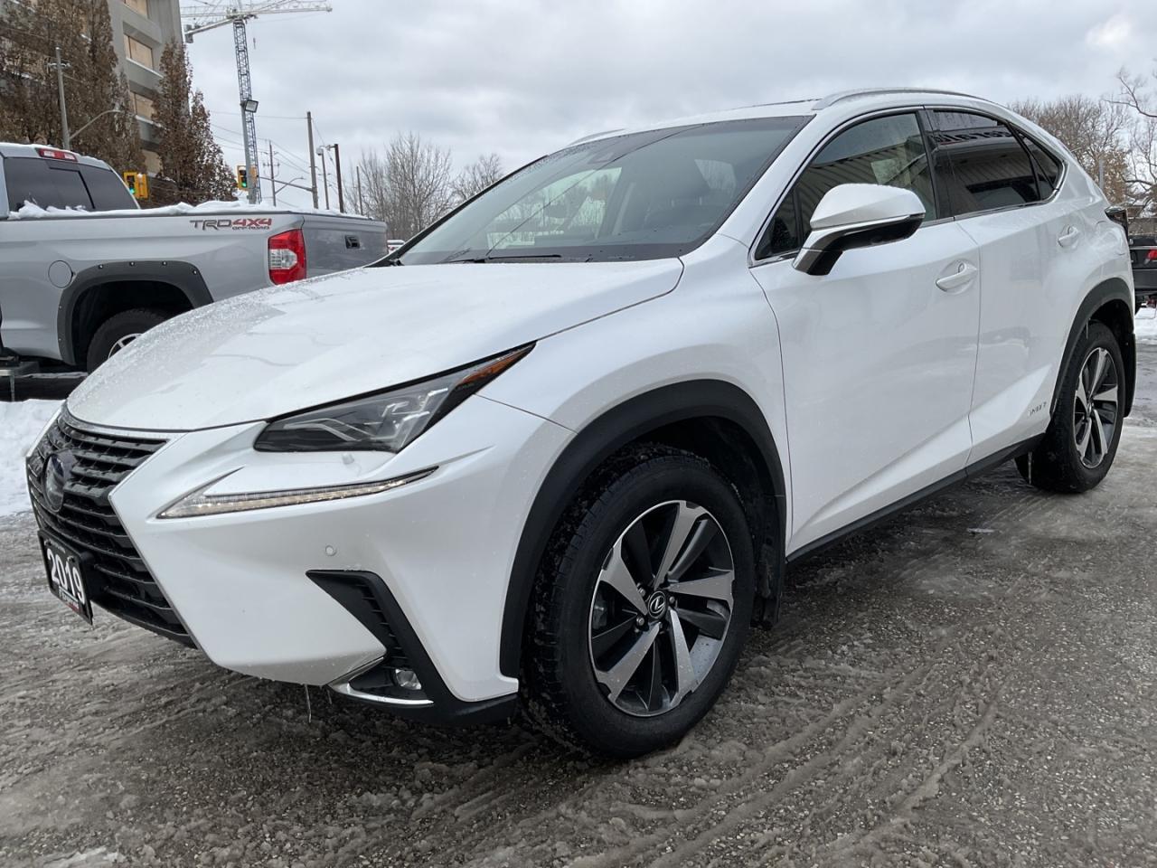 2019 Lexus NX 300h EXECUTIVE AWD - LTHR! NAV! 360 CAM! BSM! HUD! Photo