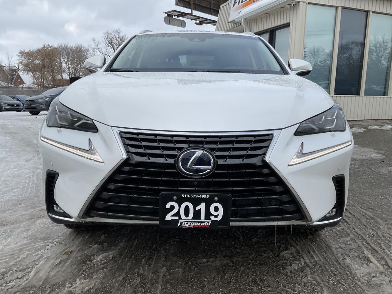 2019 Lexus NX 300h EXECUTIVE AWD - LTHR! NAV! 360 CAM! BSM! HUD! Photo