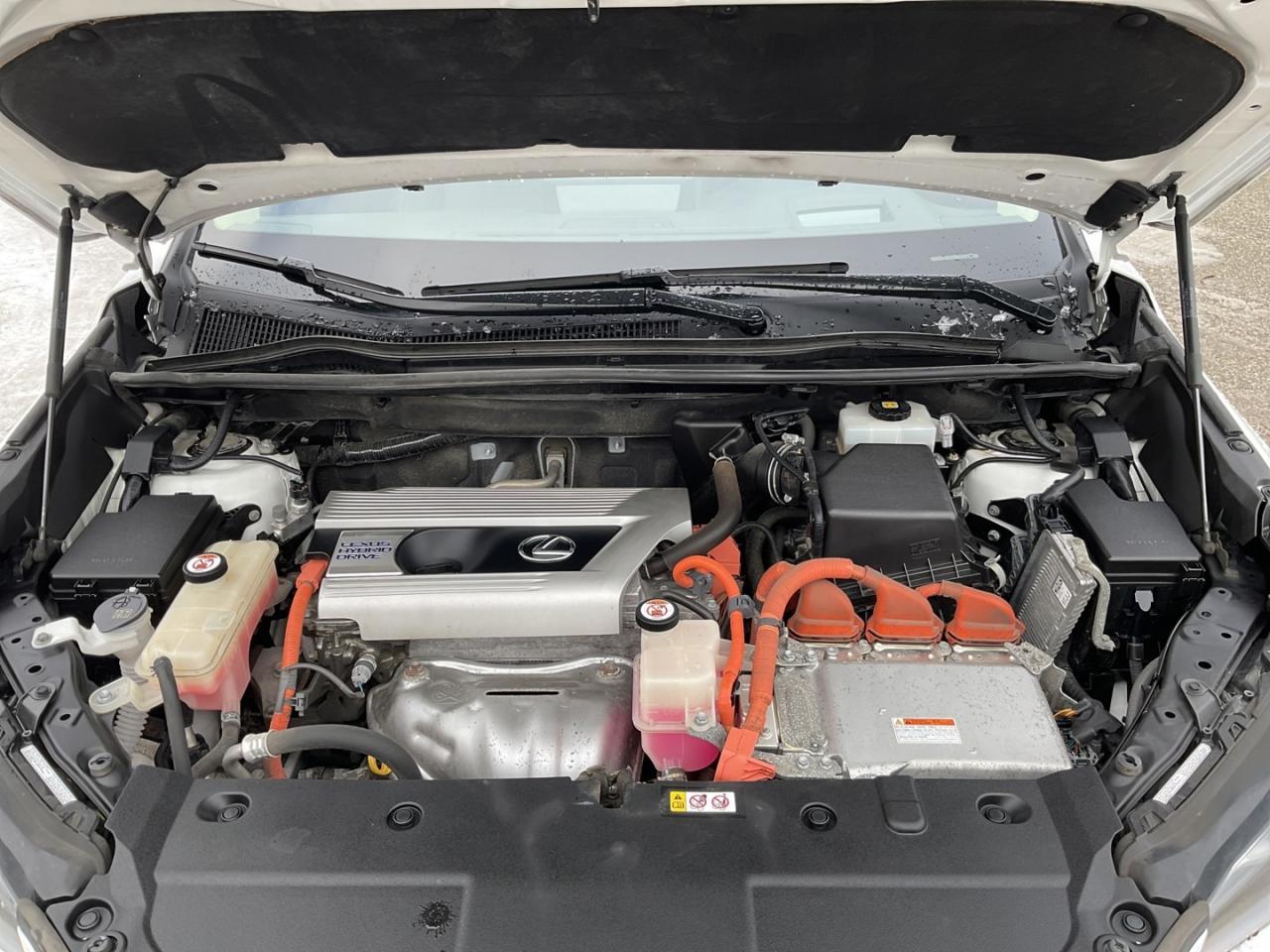 2019 Lexus NX 300h EXECUTIVE AWD - LTHR! NAV! 360 CAM! BSM! HUD! Photo