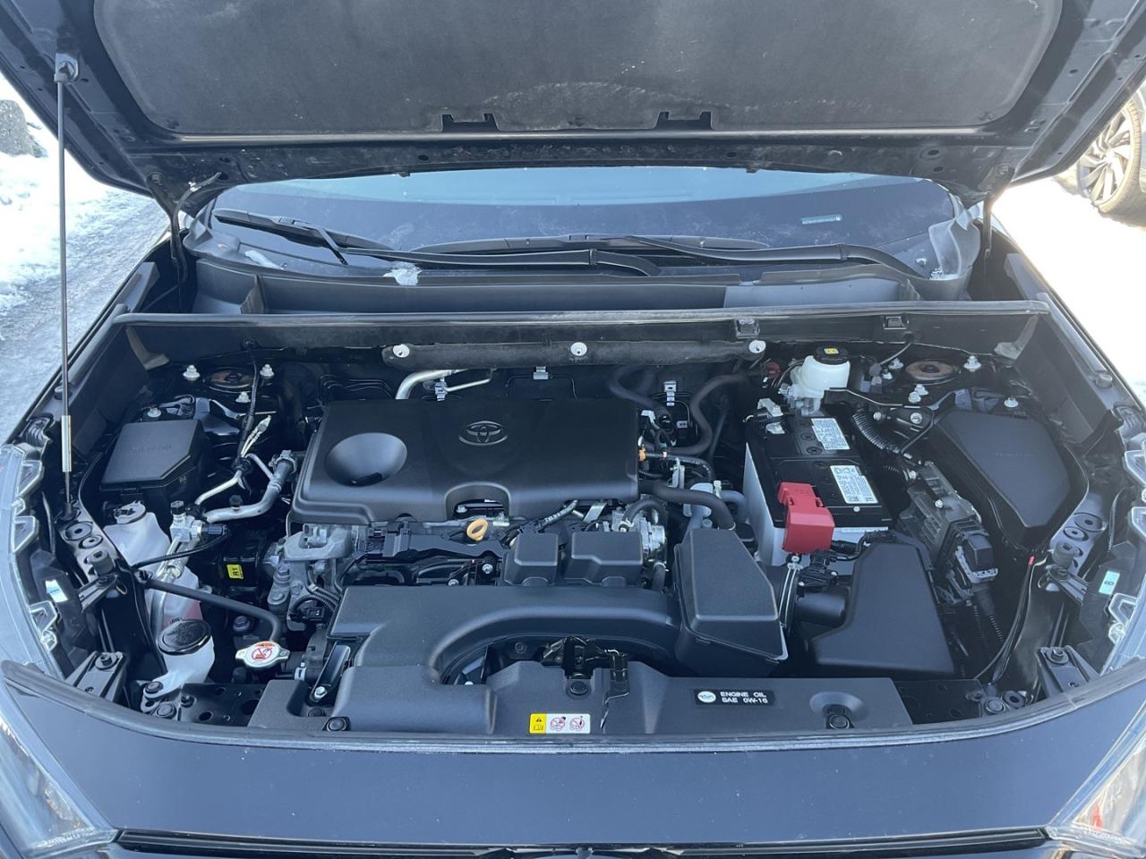 2023 Toyota RAV4 LE AWD - SAFETY SENSE! BACK-UP CAM! BSM! Photo