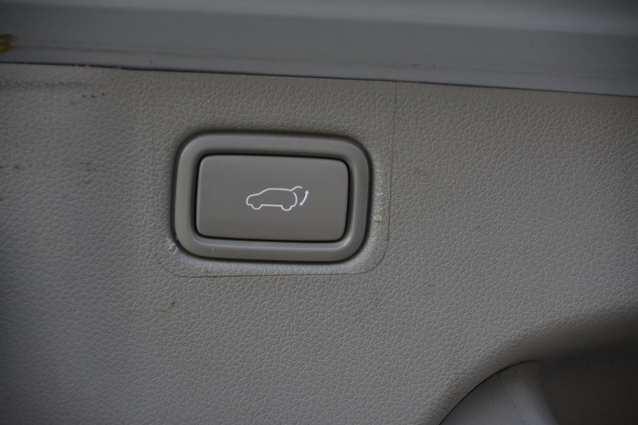 2020 Kia Sedona SEDONA EX/SX Photo