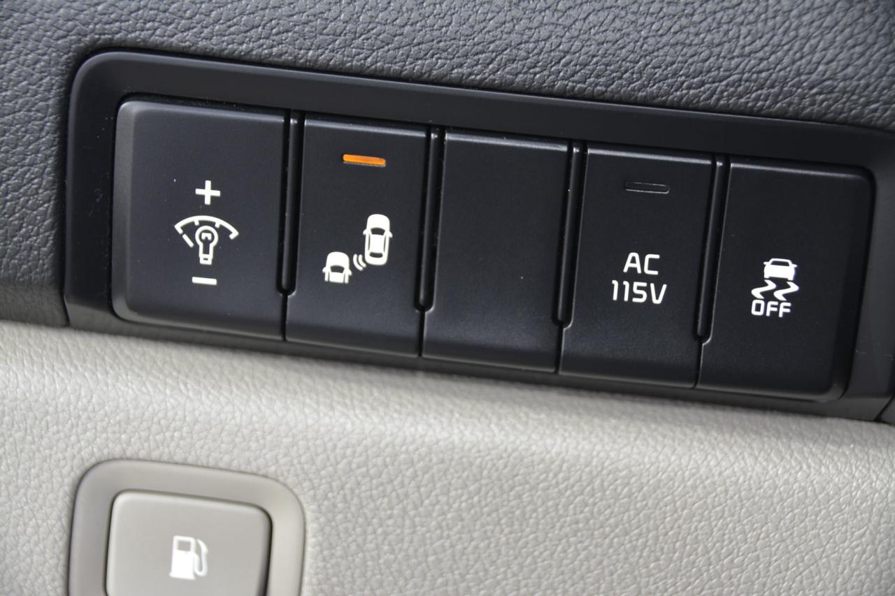 2020 Kia Sedona SEDONA EX/SX Photo