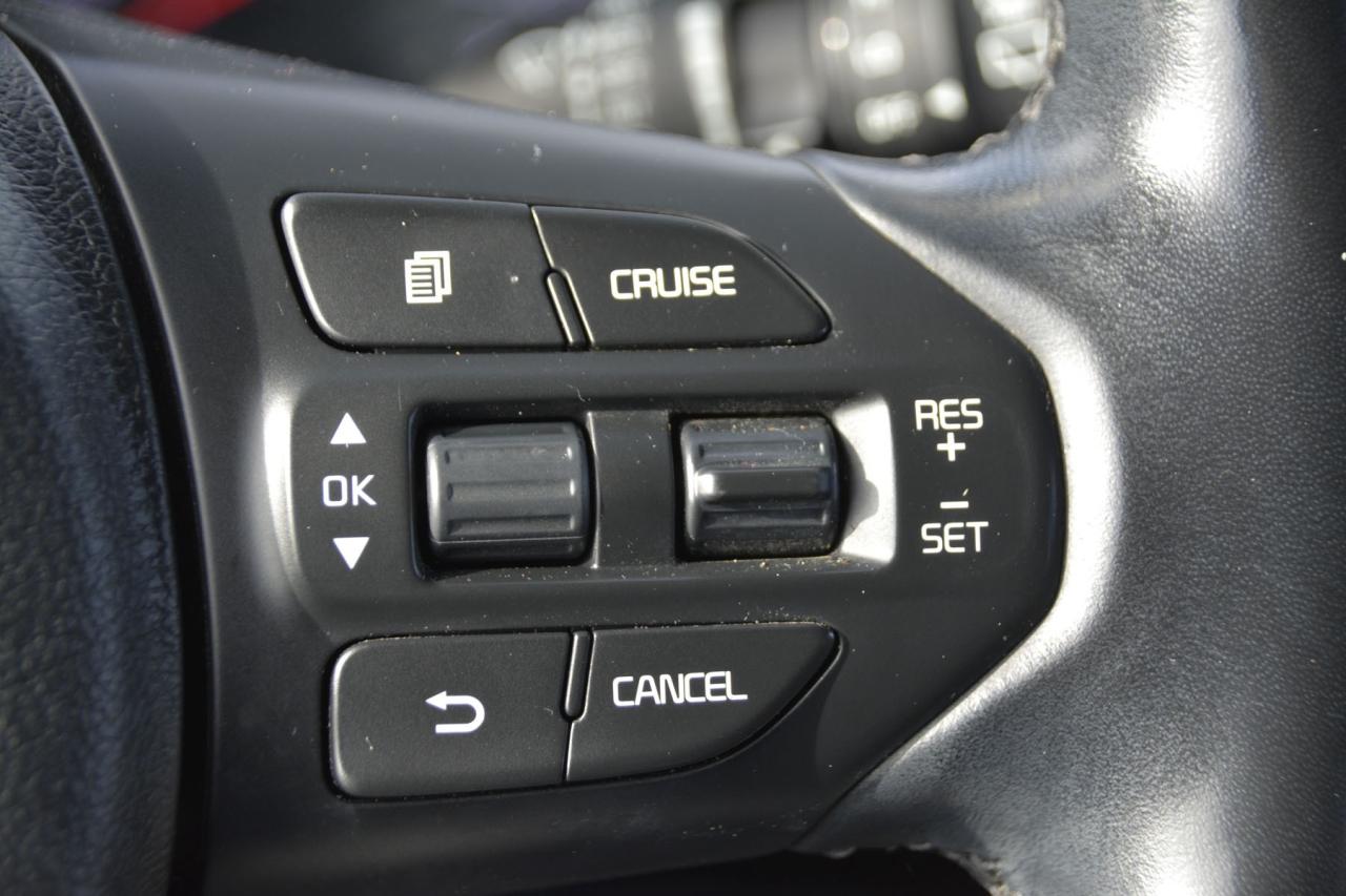 2020 Kia Sedona SEDONA EX/SX Photo