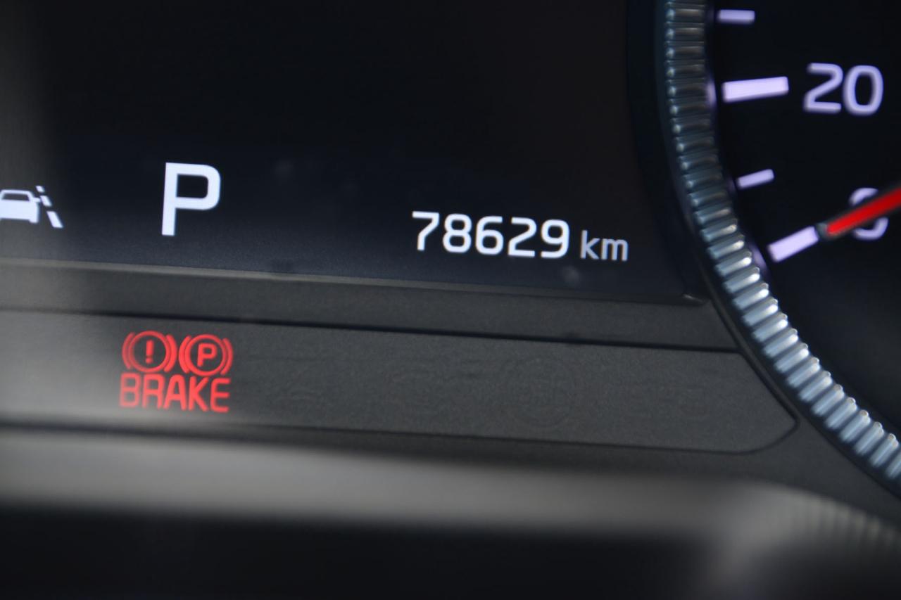 2022 Kia Telluride TELLURIDE SX Photo4