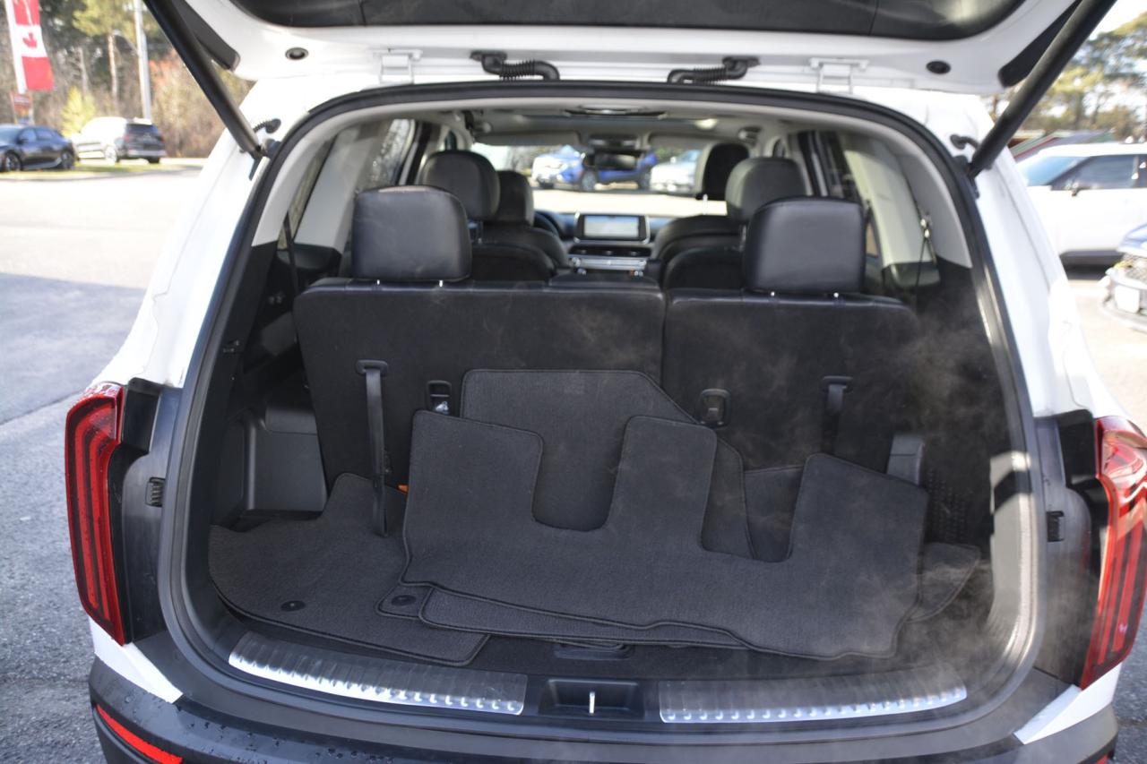 2022 Kia Telluride TELLURIDE SX Photo