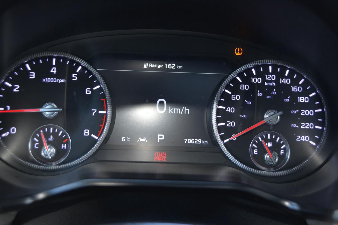 2022 Kia Telluride TELLURIDE SX Photo