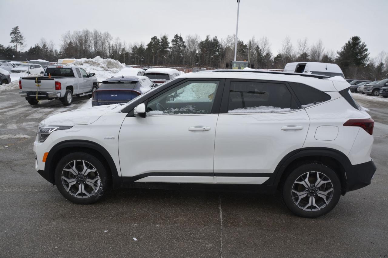 2021 Kia Seltos SELTOS EX Photo