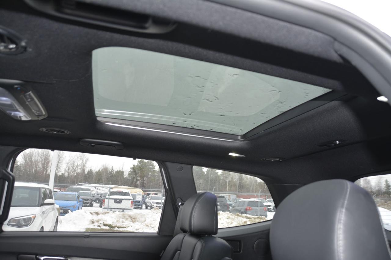 2023 Kia Telluride TELLURIDE SX/SX X-LINE/SX Photo