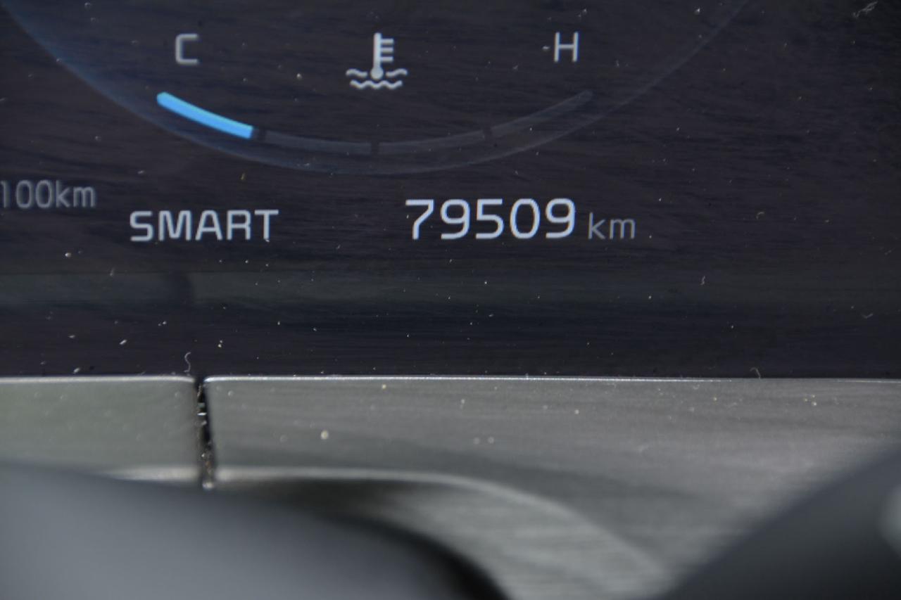 2023 Kia Telluride TELLURIDE SX/SX X-LINE/SX Photo