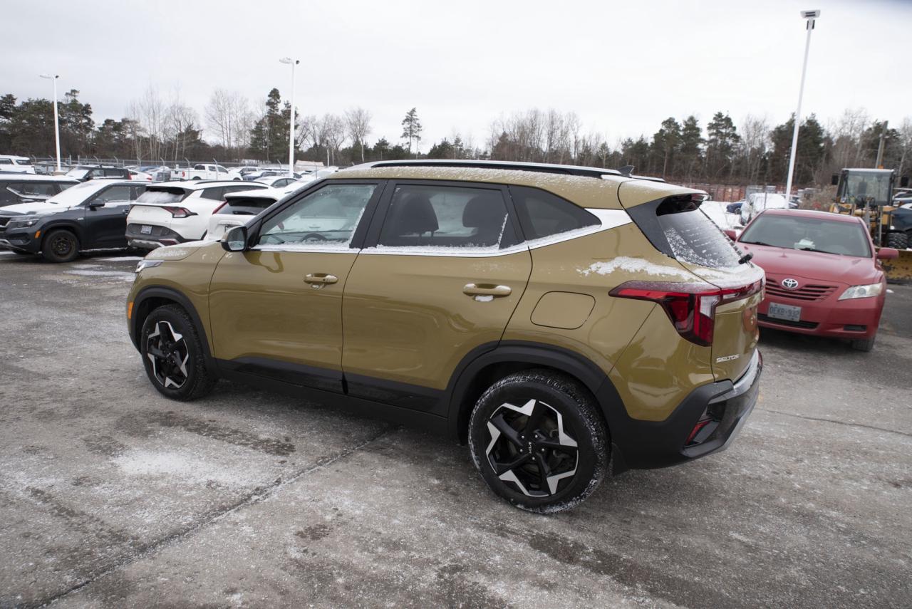 2024 Kia Seltos SELTOS EX Photo