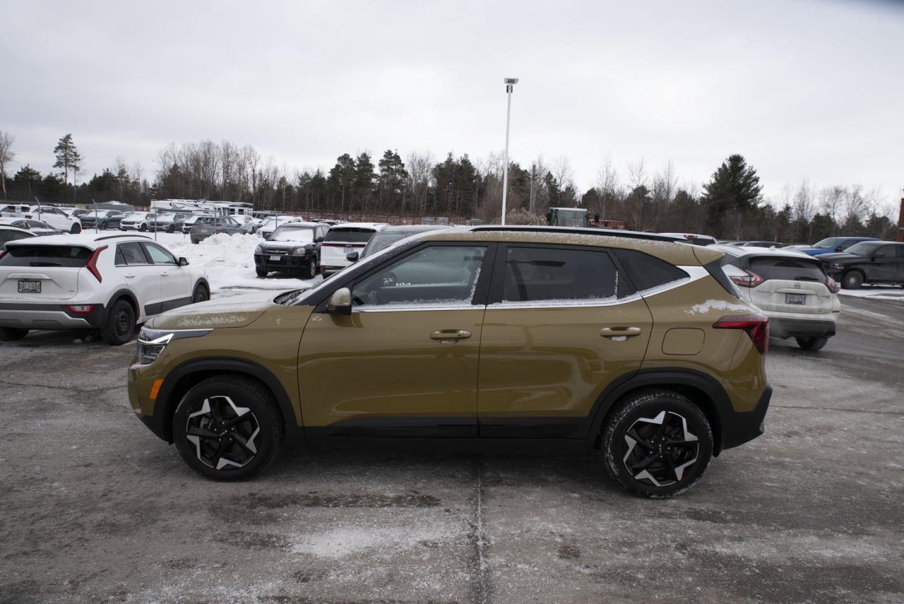 2024 Kia Seltos SELTOS EX Photo