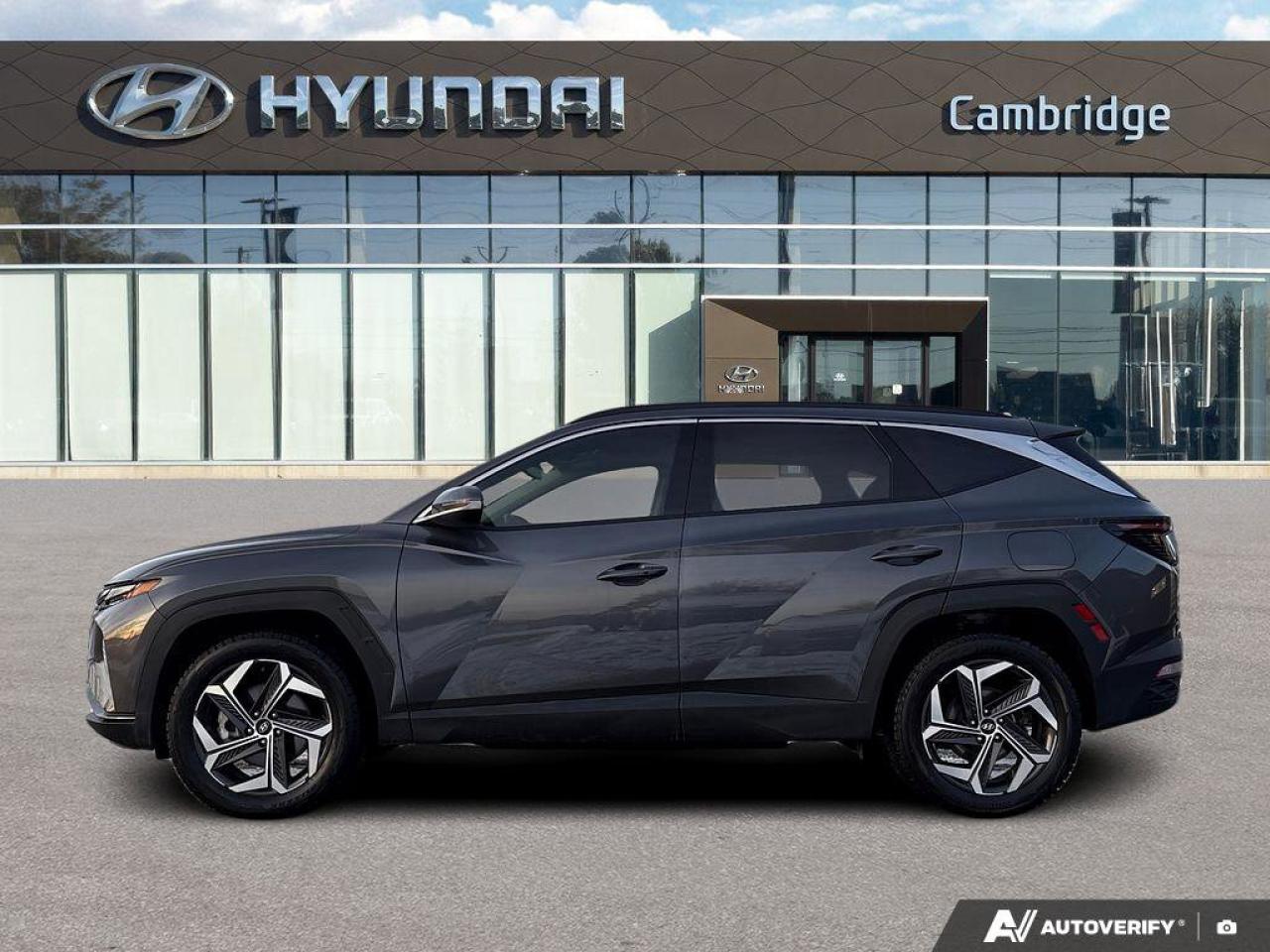 2023 Hyundai Tucson Hybrid Luxury Photo
