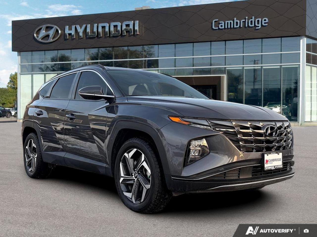 2023 Hyundai Tucson Hybrid Luxury Photo