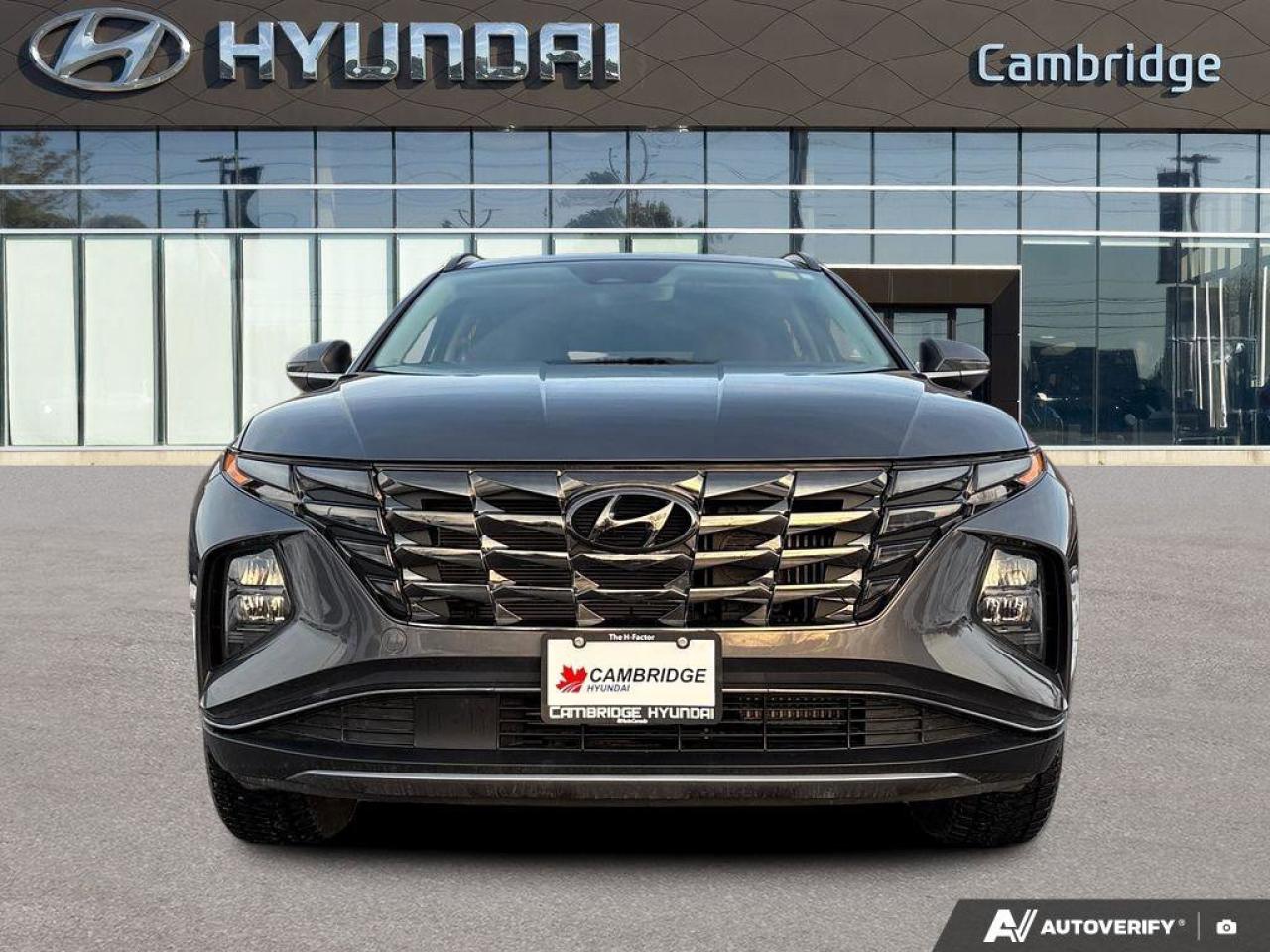2023 Hyundai Tucson Hybrid Luxury Photo