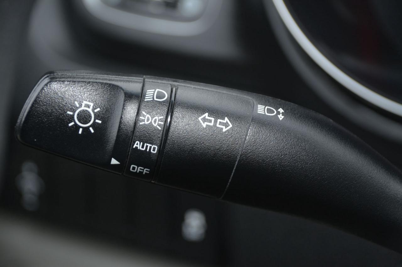 2019 Kia Sedona SEDONA L Photo