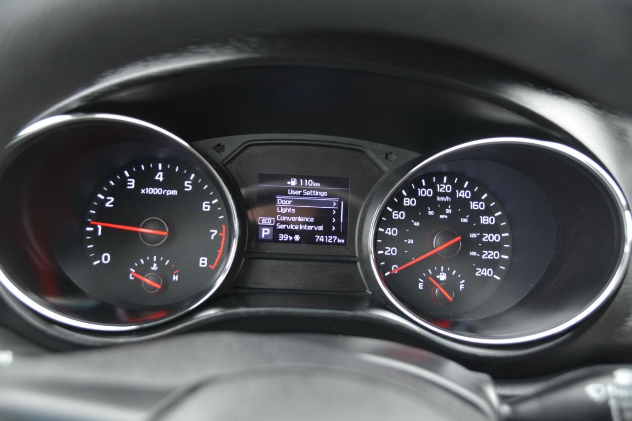 2019 Kia Sedona SEDONA L Photo