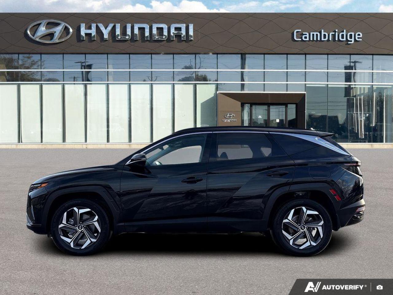 2023 Hyundai Tucson Hybrid Luxury Hybrid   Panoramic Sunroof   Bose® Premium Photo3