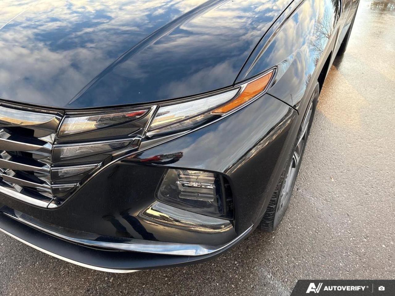 2023 Hyundai Tucson Hybrid Luxury Hybrid   Panoramic Sunroof   Bose® Premium Photo