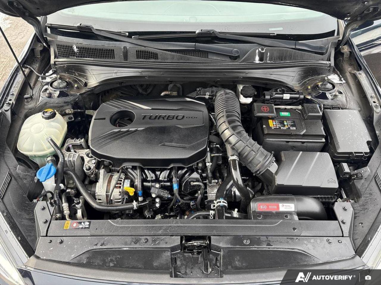 2020 Kia Forte5 GT   CLEAN CARFAX   HEATED AND VENTILATED  SPORT B Photo