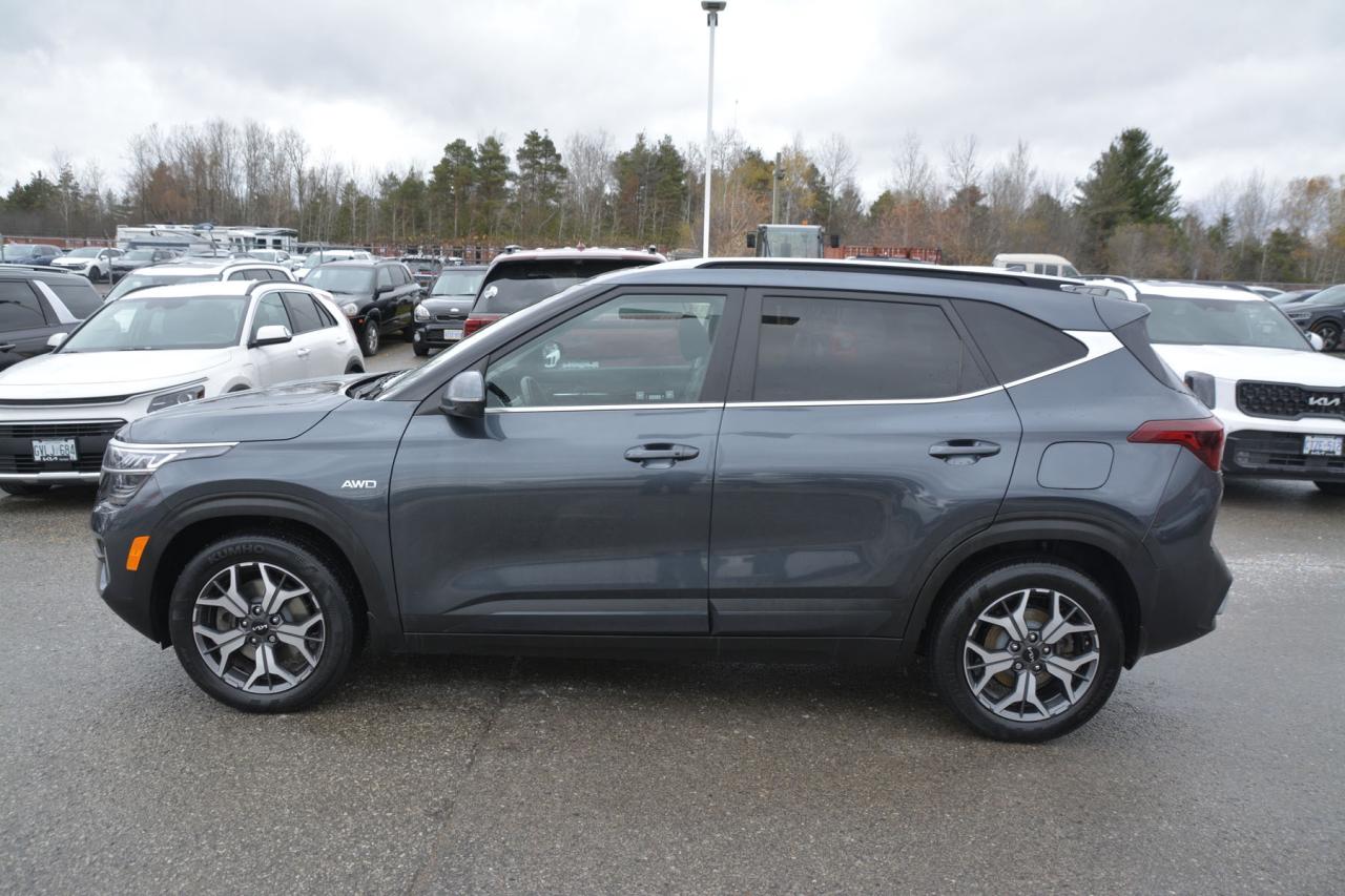 2022 Kia Seltos SELTOS EX Photo