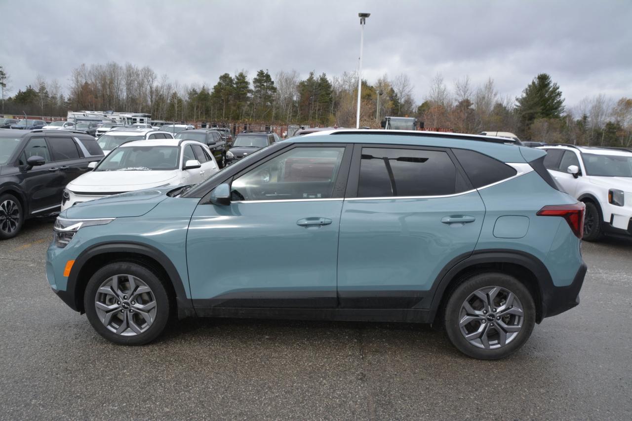 2024 Kia Seltos SELTOS S Photo