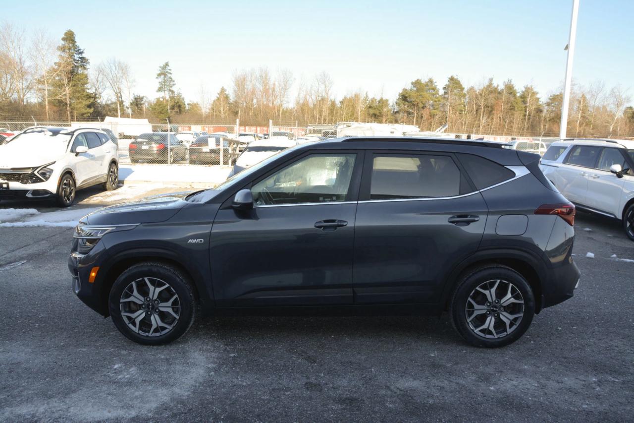 2022 Kia Seltos SELTOS EX Photo