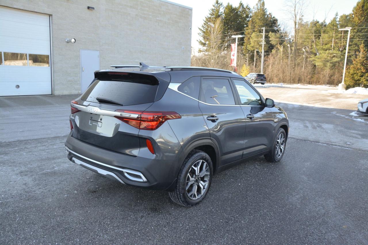 2022 Kia Seltos SELTOS EX Photo