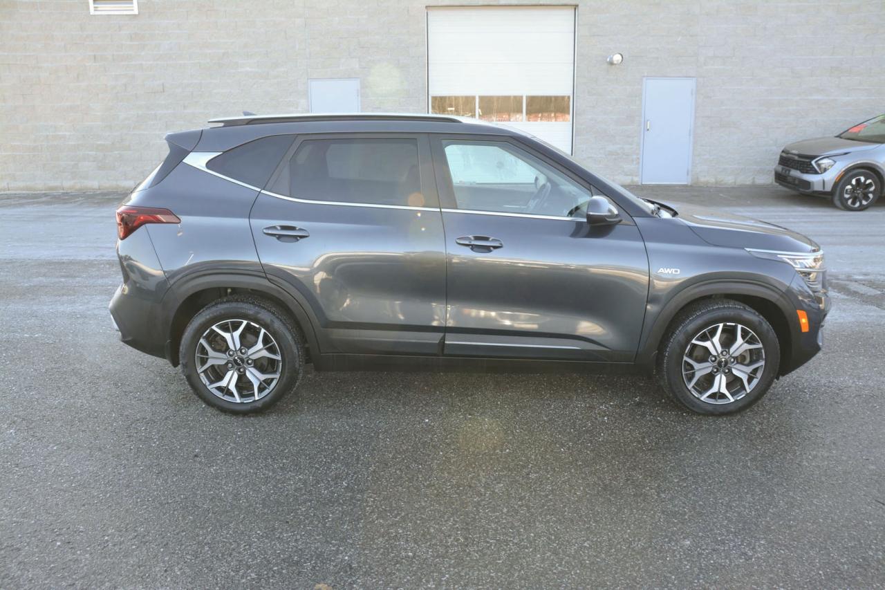 2022 Kia Seltos SELTOS EX Photo