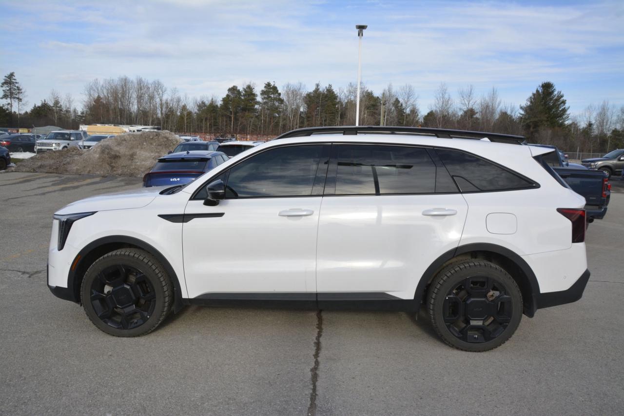 2025 Kia Sorento X-Line Limited AWD w-Olive Brown Interior Photo