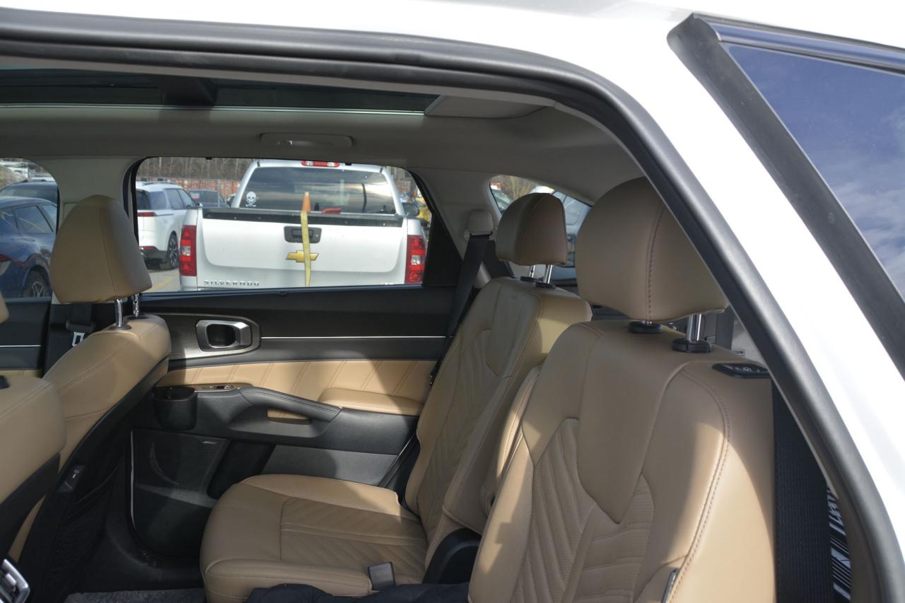 2025 Kia Sorento X-Line Limited AWD w-Olive Brown Interior Photo