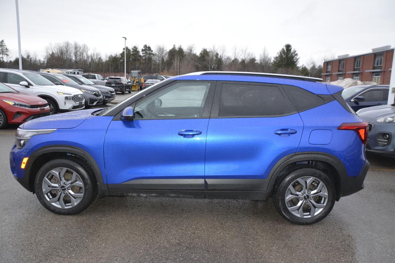 2024 Kia Seltos SELTOS LX Photo2