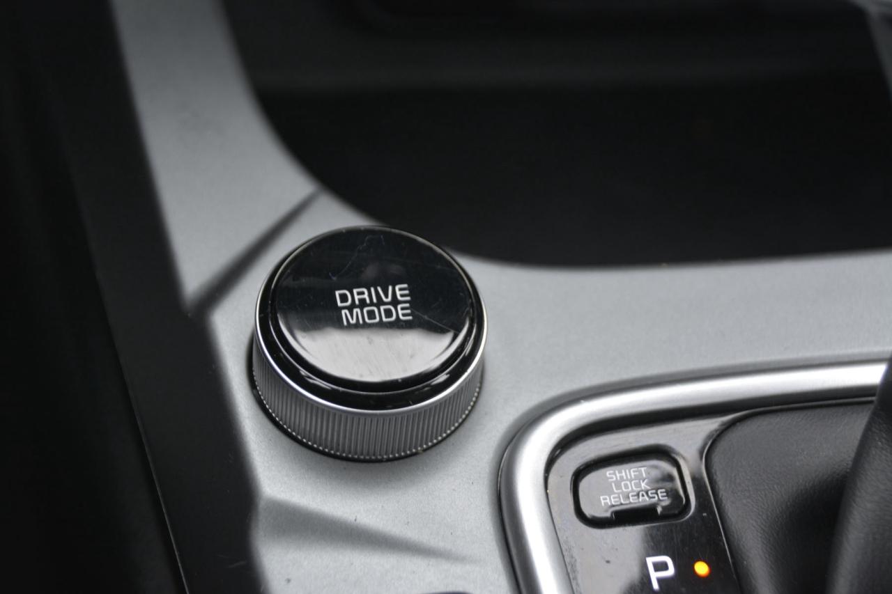 2024 Kia Seltos SELTOS LX Photo