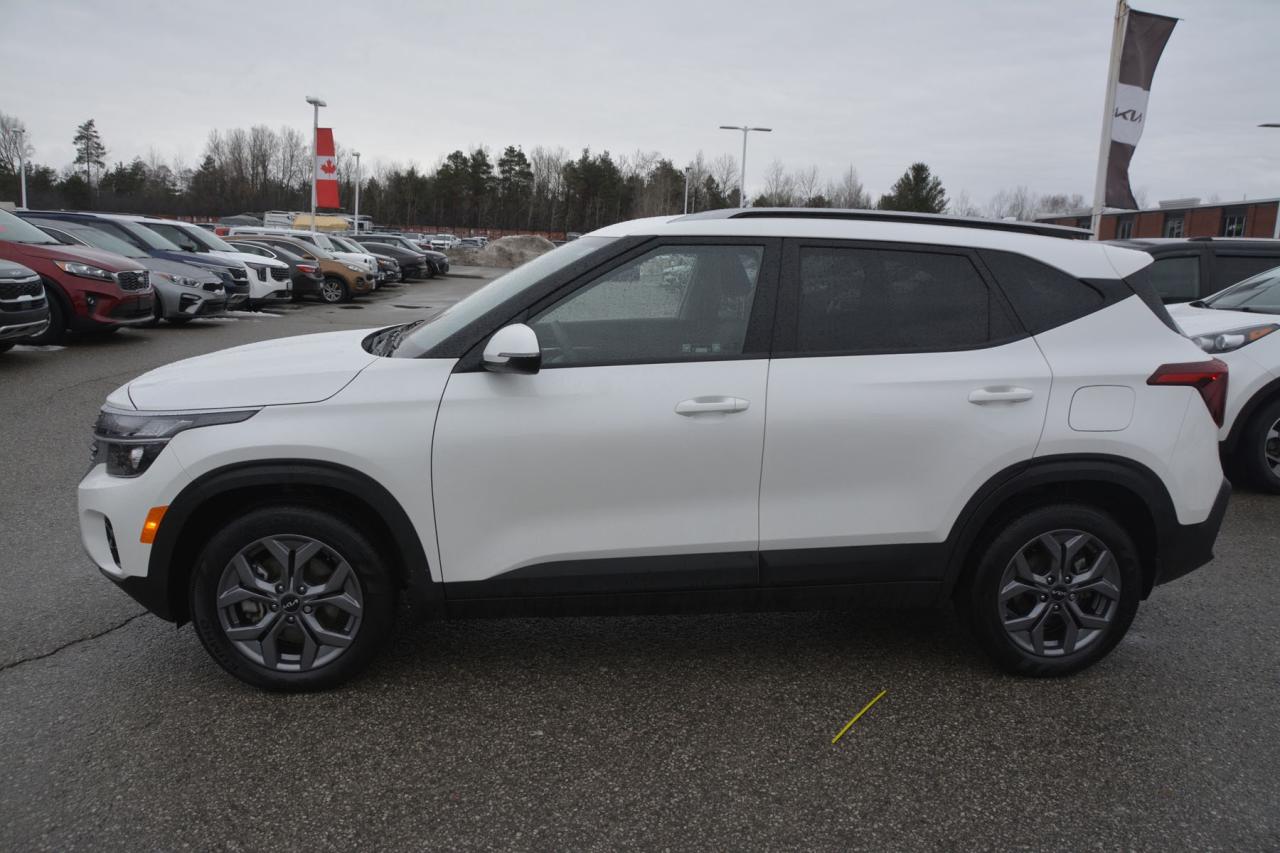 2024 Kia Seltos SELTOS LX Photo