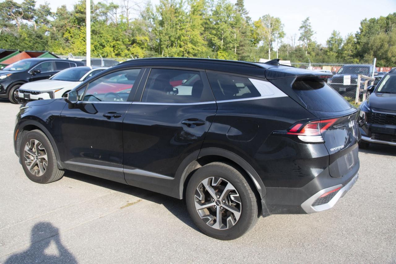 2024 Kia Sportage SPORTAGE EX Photo