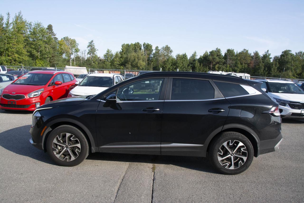 2024 Kia Sportage SPORTAGE EX Photo