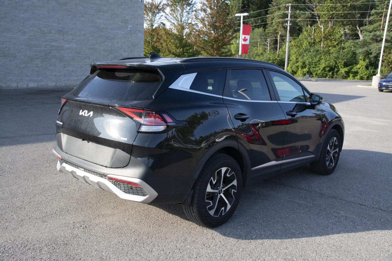 2024 Kia Sportage SPORTAGE EX Photo