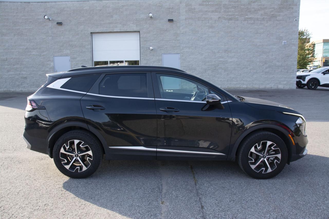 2024 Kia Sportage SPORTAGE EX Photo