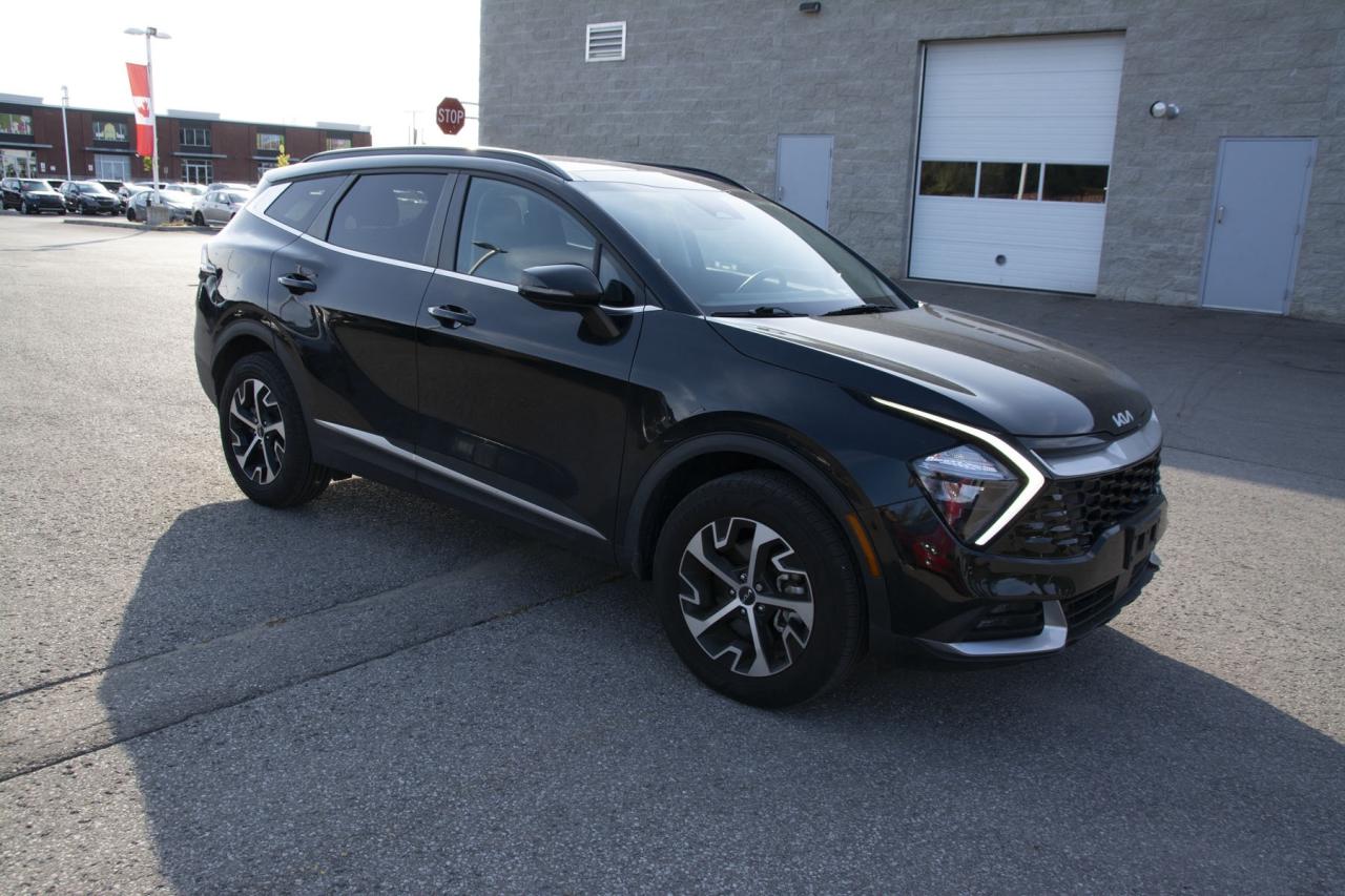 2024 Kia Sportage SPORTAGE EX Photo