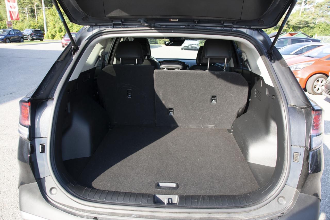 2024 Kia Sportage SPORTAGE EX Photo