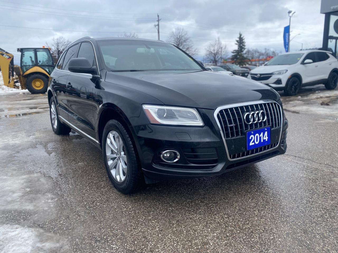 2014 Audi Q5 Progressiv AWD ~Nav ~ Heated Leather ~Sunroof Photo4